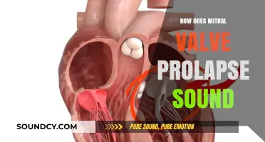 Understanding the Unique Heart Murmur of Mitral Valve Prolapse