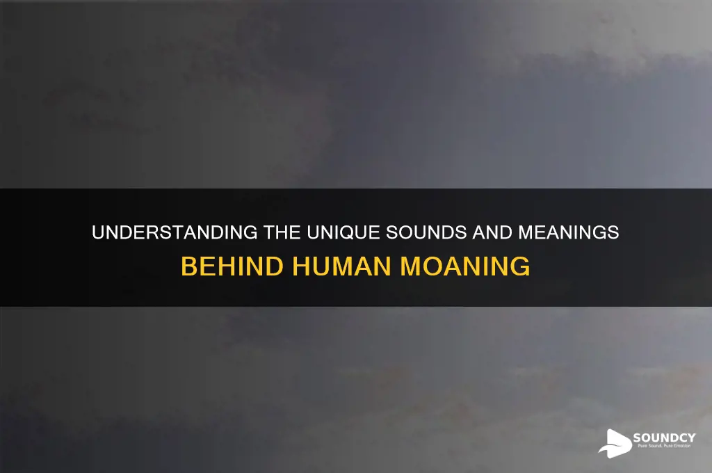 how does moaning sound like