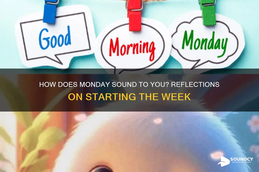 how does monday sound to you