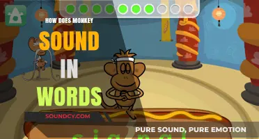 Decoding Monkey Noises: Translating Their Unique Vocalizations into Words