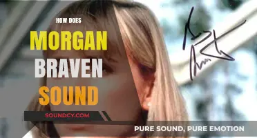 Exploring the Unique Sound and Style of Morgan Braven's Music