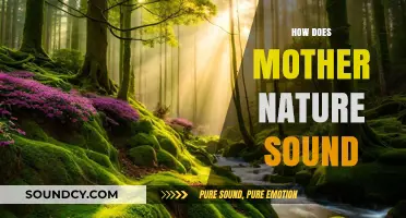 The Symphony of Nature: Exploring Earth's Sounds and Rhythms