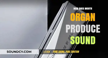 Unveiling the Harmonica's Magic: How Mouth Organs Create Sound Waves