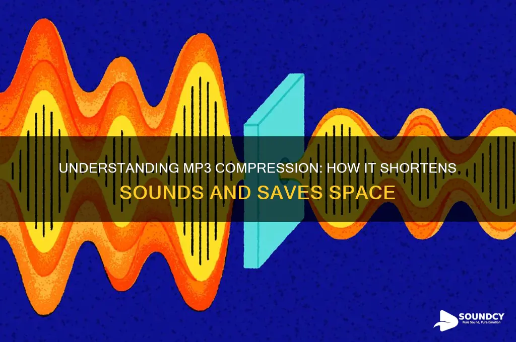 how does mp3 shorten sounds
