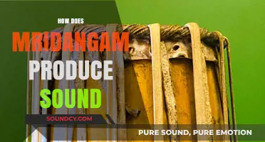 Unveiling the Mridangam's Magic: How Its Structure Creates Sound