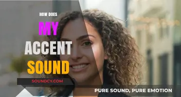 How Does My Accent Sound? Exploring Pronunciation and Cultural Identity