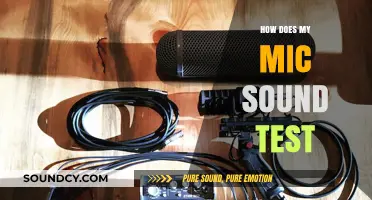 Master Your Mic: Quick Tips for a Perfect Sound Test