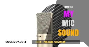 How Does My Mic Sound? Tips for Clear Audio Quality