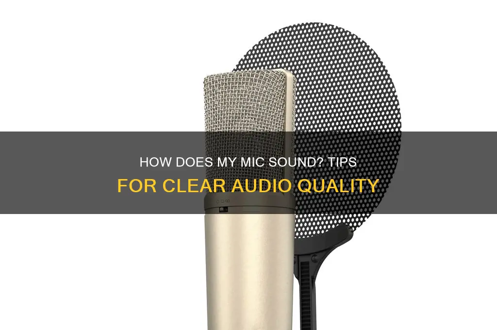 how does my mic sound