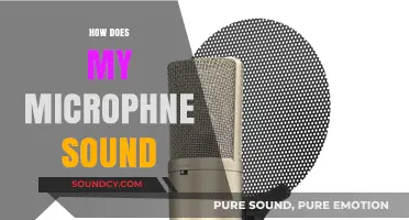 How Does My Microphone Sound? Tips for Clear Audio Quality