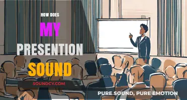 Mastering Your Presentation: Tips to Ensure Your Delivery Sounds Confident and Clear