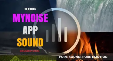 Exploring the Soothing Sounds of the MyNoise App: A Review
