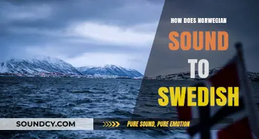 How Norwegian Sounds to Swedish Ears: A Linguistic Comparison