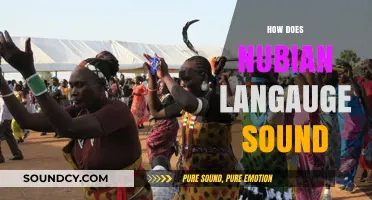 Exploring the Unique Melody and Rhythm of the Nubian Language