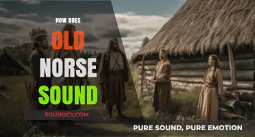 Unveiling the Ancient Melody: How Old Norse Sounded to the Ear