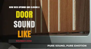 The Audible Symphony of Doors: Opening and Closing Sounds Explored