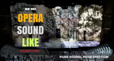 Unveiling Opera's Majestic Sound: A Beginner's Guide to Its Unique Melody