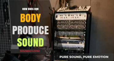 Understanding the Science Behind How Our Body Creates Sound