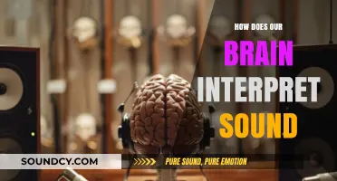 Unraveling the Brain's Sonic Code: How We Interpret Sound Waves