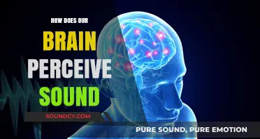 Unraveling the Mysteries of Brain's Auditory Perception and Sound Processing