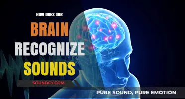 Unraveling the Brain's Auditory Magic: How We Recognize Sounds
