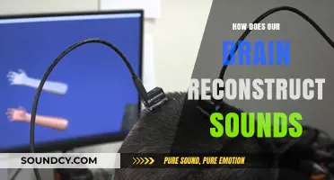 Unraveling the Brain's Auditory Magic: How Sounds Are Reconstructed