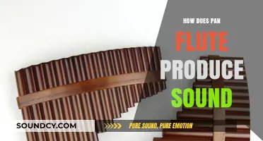 Unveiling the Pan Flute's Magic: How Air Creates Musical Notes
