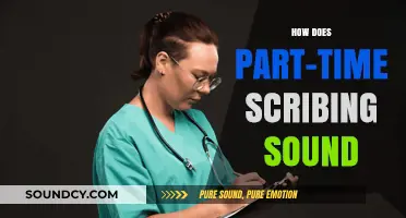 Part-Time Scribing: A Flexible Career Option for Aspiring Writers