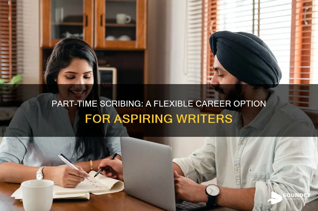 how does part-time scribing sound