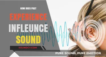 Past Echoes: How Experiences Shape Our Perception of Sound