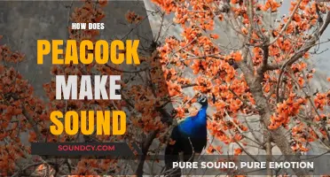 Unveiling the Mystery: How Peacocks Produce Their Unique Sounds