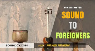 The Unique Melody of Persian: How Foreign Ears Perceive Its Sounds