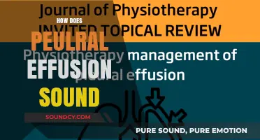 Understanding Pleural Effusion: What Does It Sound Like and Why?