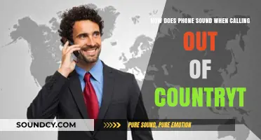 International Calling: Understanding Phone Sound Quality Across Borders