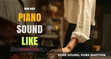 Exploring the Rich, Melodic, and Expressive Sound of the Piano
