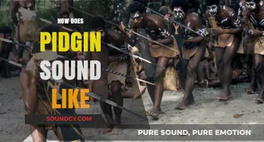 Exploring Pidgin's Unique Sound: A Blend of Cultures and Languages