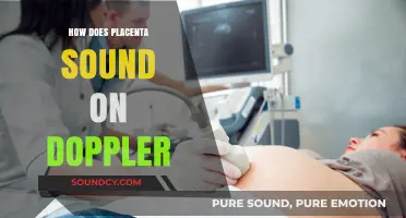 Understanding Placenta Sounds: A Doppler Guide for Expectant Parents