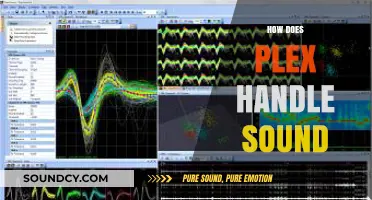 Understanding Plex's Audio Processing: How It Manages and Enhances Sound