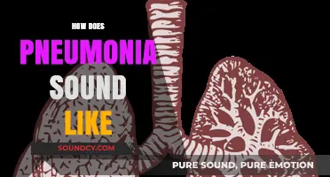 Listening to Pneumonia: Recognizing the Distinct Sounds of Infected Lungs
