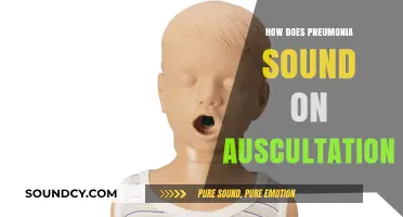 Identifying Pneumonia Through Auscultation: Key Sounds and Clinical Insights
