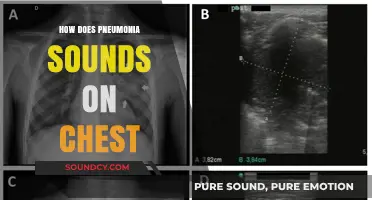 Listening to Pneumonia: Identifying Abnormal Chest Sounds and Symptoms