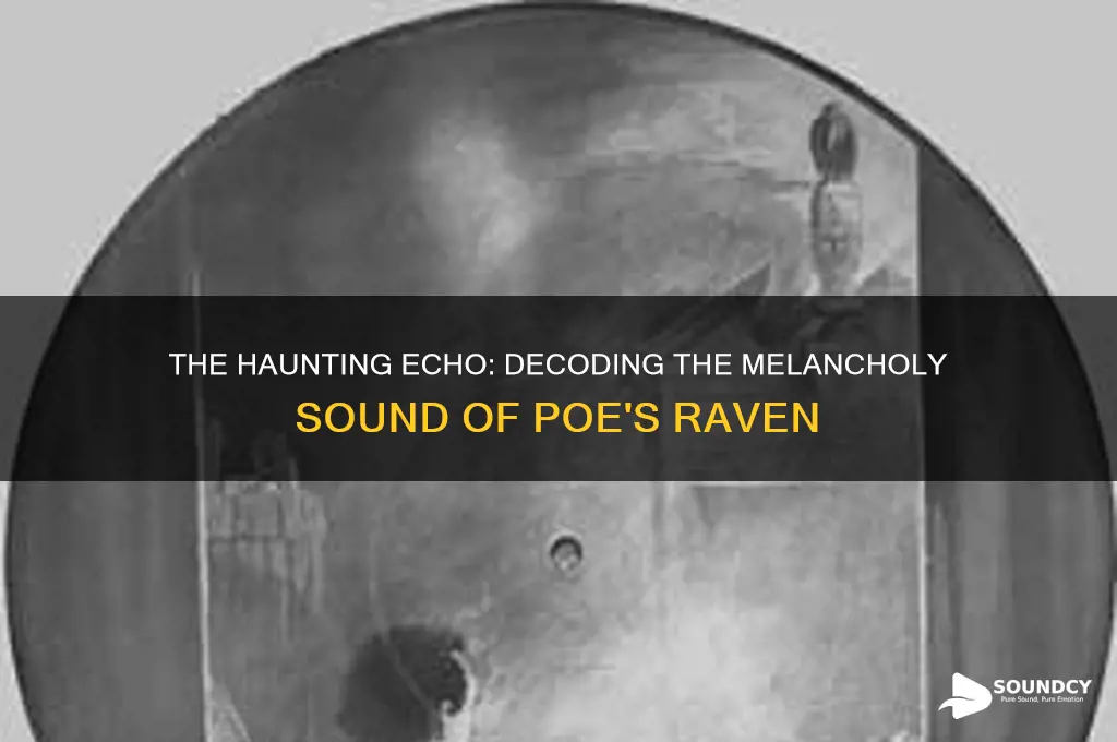 how does poes raven sound