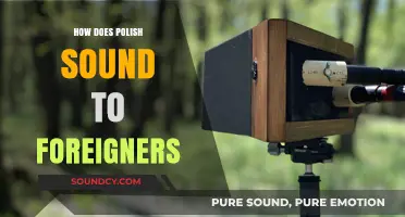 How Polish Sounds to Foreign Ears: Unique Rhythms and Pronunciations