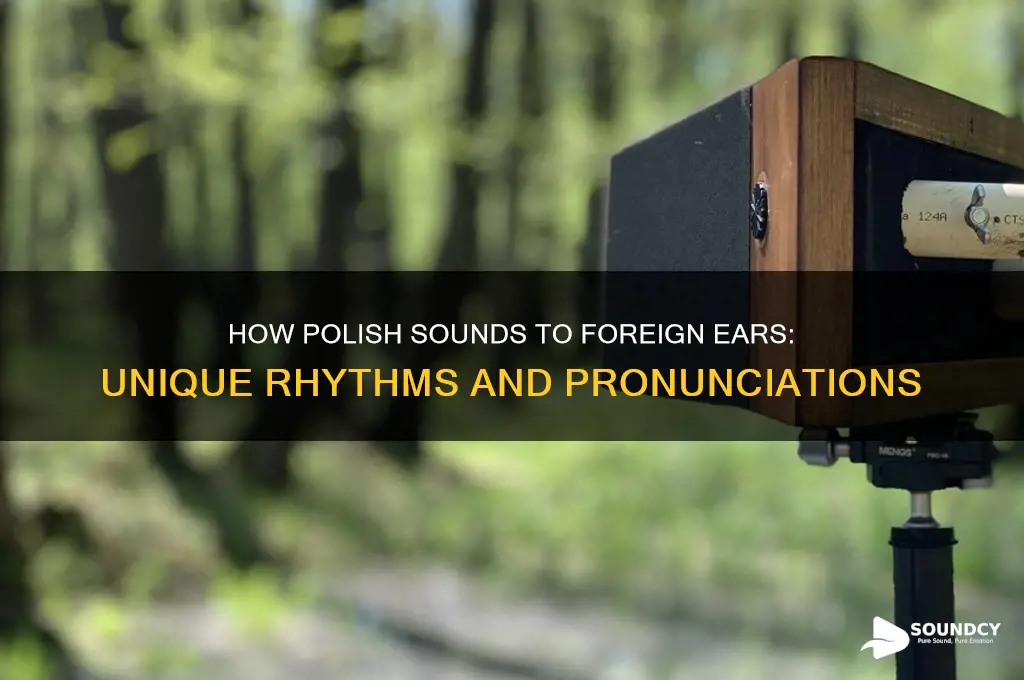 how does polish sound to foreigners