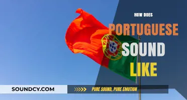 The Melodic Charm: Unveiling the Unique Sound of Portuguese Language