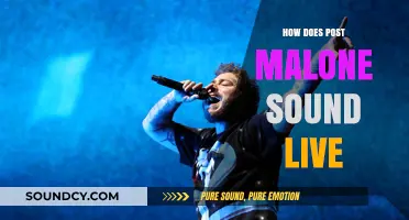 Post Malone Live: Authentic Energy, Raw Vocals, and Crowd Connection