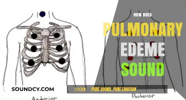 Understanding Pulmonary Edema: Recognizing the Distinct Sounds of Fluid-Filled Lungs