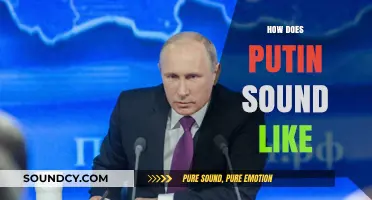 Decoding Putin's Voice: Tone, Accent, and Rhetoric of Russia's Leader
