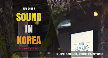 Mastering the Korean R Sound: Pronunciation Tips and Cultural Insights