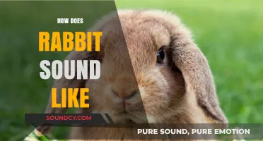 Discover the Unique Sounds Rabbits Make: From Soft Grunts to Gentle Hums